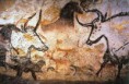 /album/historia-v-obrazoch/lascaux-painting-jpg/